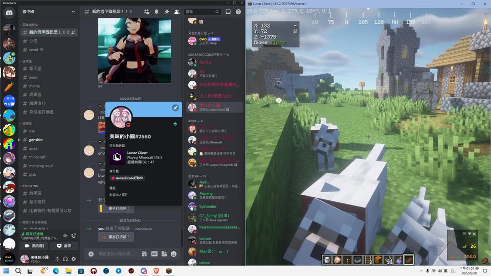 Minecraft Discord Rich Presence